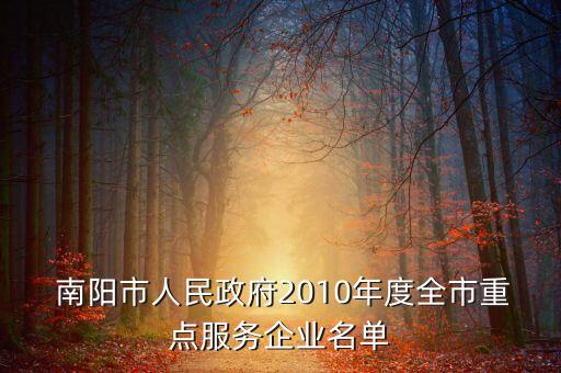  南陽市人民政府2010年度全市重點服務(wù)企業(yè)名單