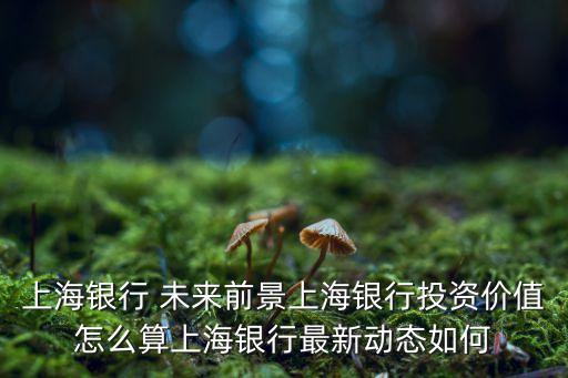 上海銀行 未來前景上海銀行投資價(jià)值怎么算上海銀行最新動(dòng)態(tài)如何