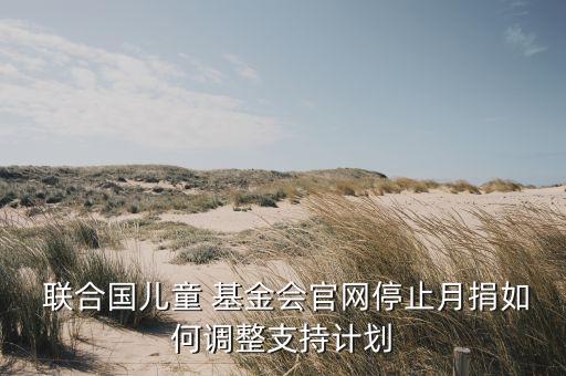  聯(lián)合國兒童 基金會官網(wǎng)停止月捐如何調(diào)整支持計(jì)劃