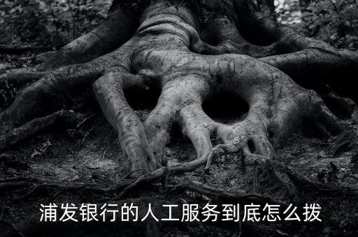  浦發(fā)銀行的人工服務到底怎么撥