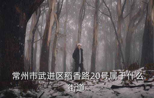  常州市武進(jìn)區(qū)稻香路20號(hào)屬于什么街道