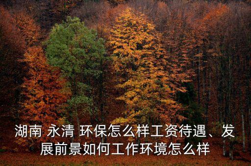 湖南 永清 環(huán)保怎么樣工資待遇、發(fā)展前景如何工作環(huán)境怎么樣