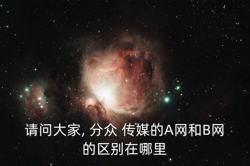 請問大家, 分眾 傳媒的A網和B網的區(qū)別在哪里