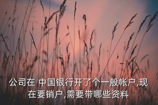 公司在 中國銀行開了個(gè)一般帳戶,現(xiàn)在要銷戶,需要帶哪些資料