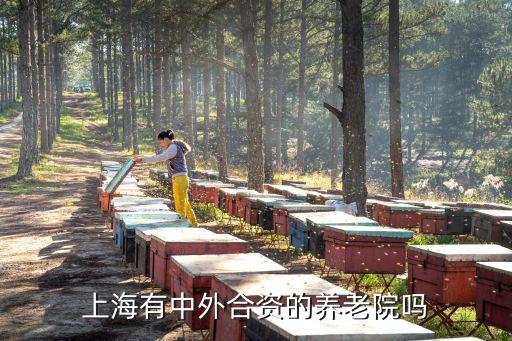 華陽新加坡投資集團(tuán),海南華陽投資集團(tuán)有限公司