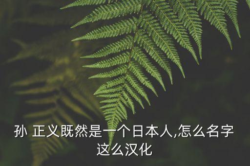 孫 正義既然是一個日本人,怎么名字這么漢化