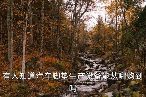 有人知道汽車(chē)腳墊生產(chǎn)設(shè)備能從哪購(gòu)到嗎