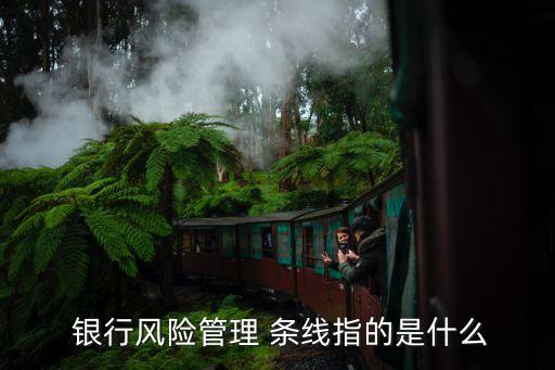  銀行風險管理 條線指的是什么