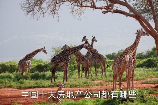 中國十大房地產公司都有哪些