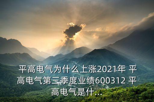  平高電氣為什么上漲2021年 平高電氣第三季度業(yè)績(jī)600312 平高電氣是什...