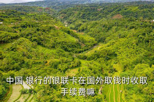 銀行境外提現(xiàn)手續(xù)費(fèi),那個銀行提現(xiàn)不需要手續(xù)費(fèi)