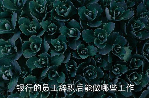  銀行的員工辭職后能做哪些工作