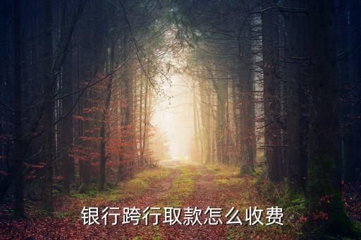  銀行跨行取款怎么收費