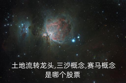  土地流轉(zhuǎn)龍頭,三沙概念,賽馬概念是哪個(gè)股票