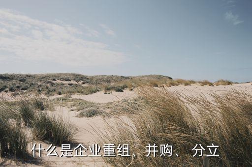 什么是企業(yè)重組、并購、 分立