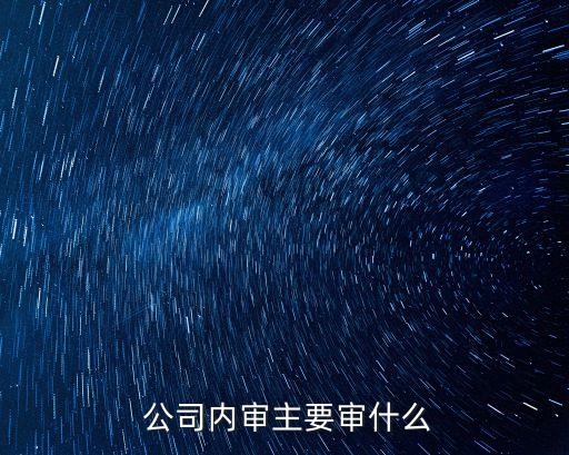 公司財務審計制度,國家財務審計制度的基本原則