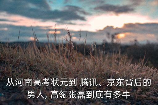 從河南高考狀元到 騰訊、京東背后的男人, 高瓴張磊到底有多牛