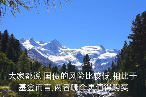 大家都說 國債的風險比較低,相比于 基金而言,兩者哪個更值得購買