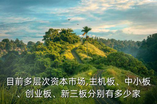 目前多層次資本市場(chǎng),主機(jī)板、中小板、創(chuàng)業(yè)板、新三板分別有多少家