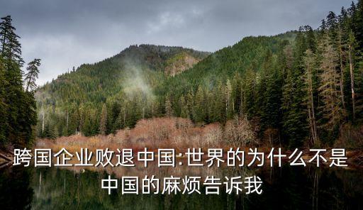 國際跨國公司有哪些稅務丑聞,跨國公司的國際營銷組合策略有哪些?