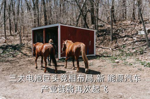 大連天地新能源有限公司,河南天地之中新能源汽車(chē)有限公司