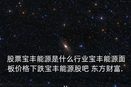  股票寶豐能源是什么行業(yè)寶豐能源面板價格下跌寶豐能源股吧 東方財(cái)富...