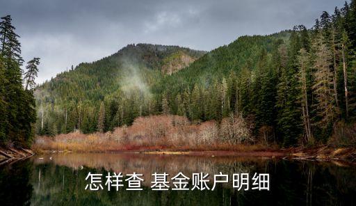 我的基金查詢000913