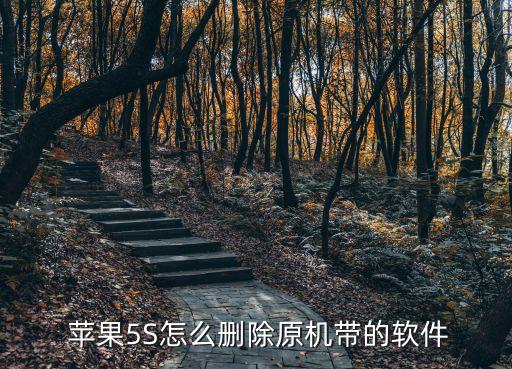 蘋果5S怎么刪除原機帶的軟件