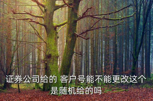 證券公司給的 客戶號能不能更改這個是隨機(jī)給的嗎