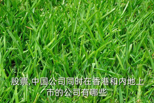  股票,中國(guó)公司同時(shí)在香港和內(nèi)地上市的公司有哪些