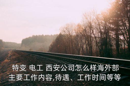  特變 電工 西安公司怎么樣海外部主要工作內容,待遇、工作時間等等