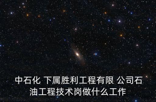  中石化 下屬勝利工程有限 公司石油工程技術崗做什么工作
