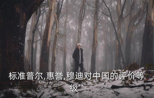 國際三大評級機構(gòu)對中國的評級,全球三大評級機構(gòu)評級程序和標準
