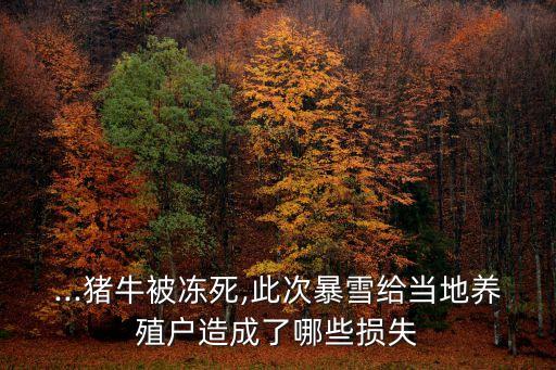 ...豬牛被凍死,此次暴雪給當(dāng)?shù)仞B(yǎng)殖戶造成了哪些損失