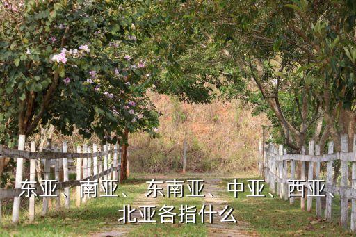 東亞、南亞、 東南亞、中亞、西亞、北亞各指什么