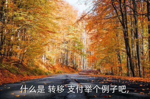 中國(guó)現(xiàn)金轉(zhuǎn)移支付項(xiàng)目,政府轉(zhuǎn)移支付包括哪些項(xiàng)目