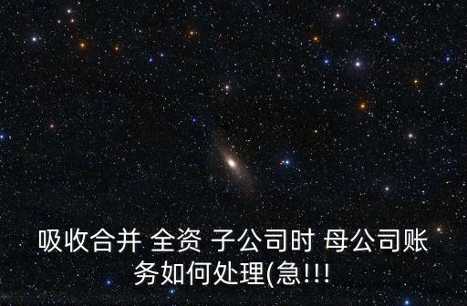 母公司對(duì)全資子公司的管理