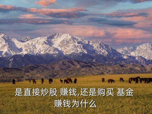 基金和股票哪個(gè)賺錢