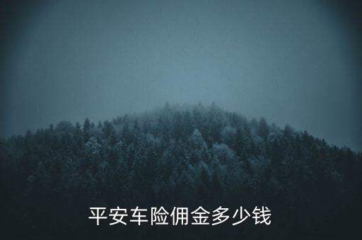 中國(guó)平安保險(xiǎn)獎(jiǎng)勵(lì)制度