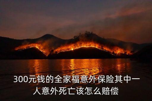  300元錢(qián)的全家福意外保險(xiǎn)其中一人意外死亡該怎么賠償