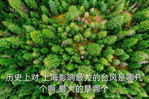 歷史上對(duì) 上海影響最大的臺(tái)風(fēng)是哪幾個(gè)啊,最大的是哪個(gè)