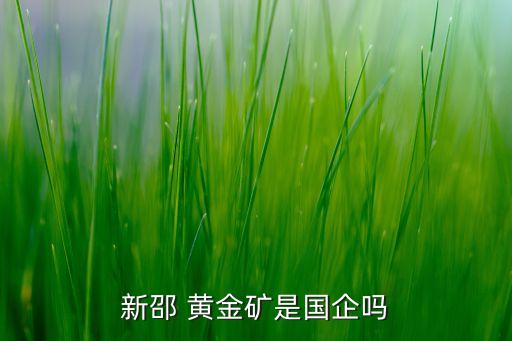 新邵 黃金礦是國企嗎