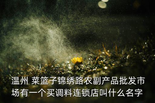 溫州菜籃子集團(tuán)董事長,?？谑胁嘶@子集團(tuán)董事長個人簡歷
