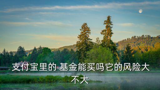  支付寶里的 基金能買嗎它的風險大不大