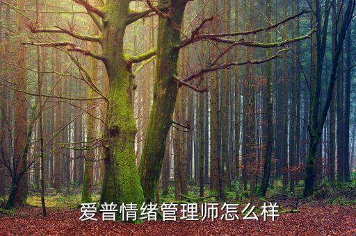 綿陽愛普投資咨詢有限公司,東電化愛普科斯(上海)投資有限公司