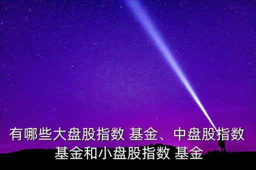 有哪些大盤股指數(shù) 基金、中盤股指數(shù) 基金和小盤股指數(shù) 基金