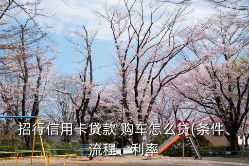 招行信用卡貸款 購車怎么貸(條件、流程、利率