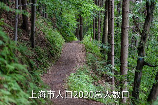第六期cdi中國金融中心指數