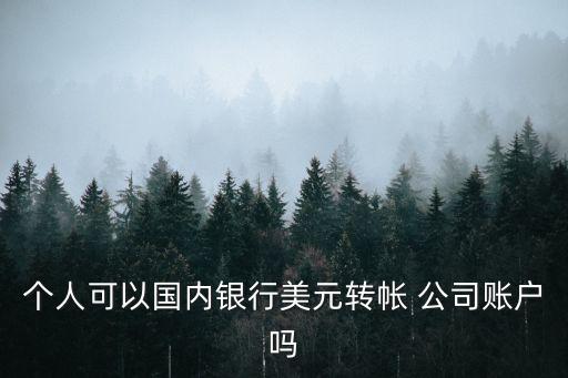 個人可以國內(nèi)銀行美元轉(zhuǎn)帳 公司賬戶嗎