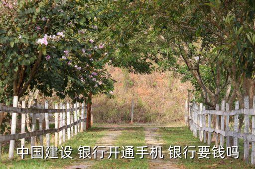 中國建設(shè) 銀行開通手機 銀行要錢嗎